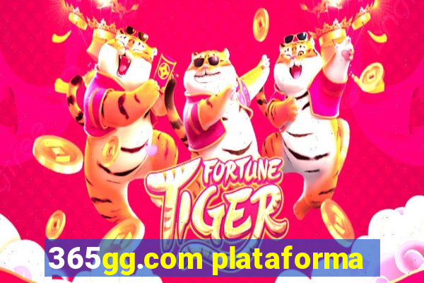 365gg.com plataforma